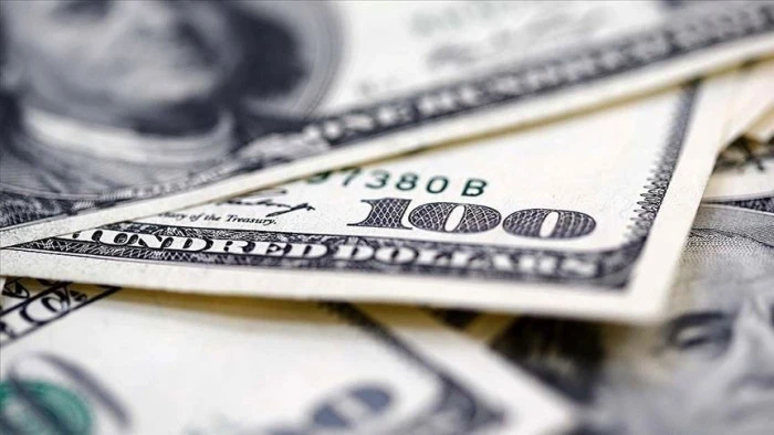 Reel efektif d&ouml;viz kuru endeksi ocakta 102,17 oldu