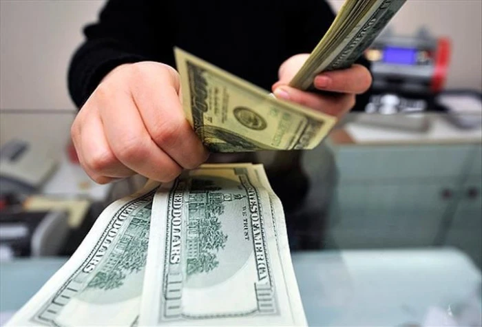 Serbest piyasada d&ouml;viz a&ccedil;ılış fiyatları