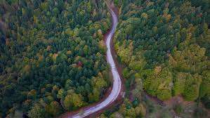 Yedig&ouml;ller doğa tutkunlarını sonbaharın g&uuml;zelliğini keşfe &ccedil;ıkarıyor